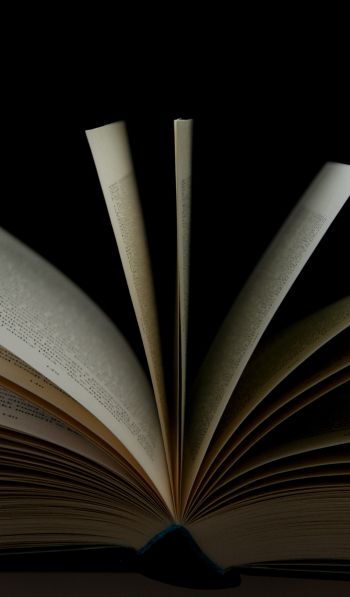 open book, book, pages Wallpaper 600x1024