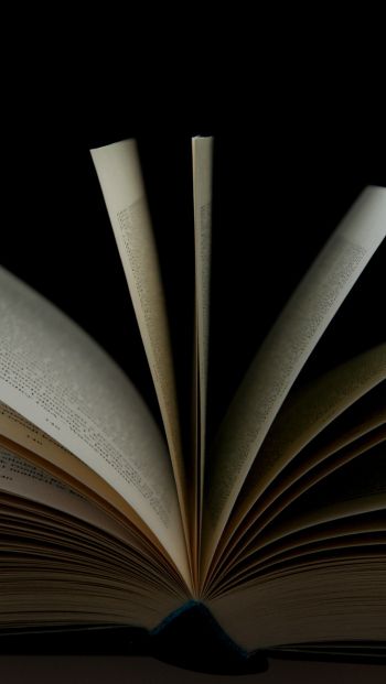 open book, book, pages Wallpaper 640x1136