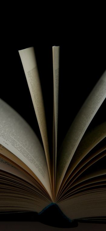 open book, book, pages Wallpaper 828x1792