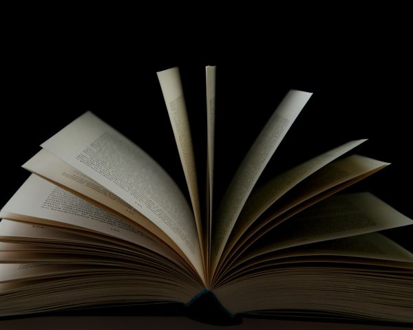 open book, book, pages Wallpaper 1280x1024