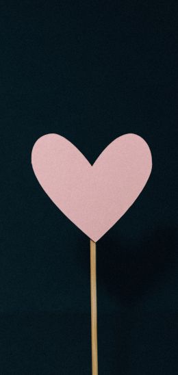 heart, pink, valentine Wallpaper 1080x2280
