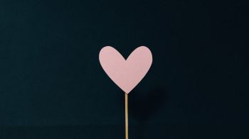 Обои 1600x900 сердце, розовый, валентинка