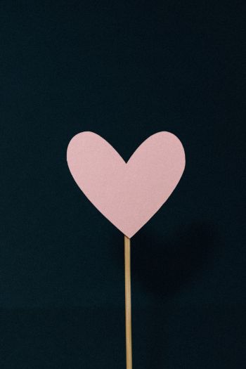 Обои 640x960 сердце, розовый, валентинка