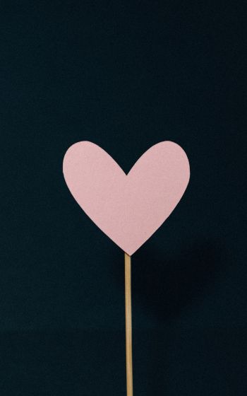heart, pink, valentine Wallpaper 1600x2560