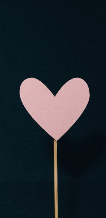 Обои 1080x2220 сердце, розовый, валентинка