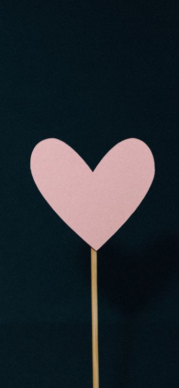 heart, pink, valentine Wallpaper 1284x2778