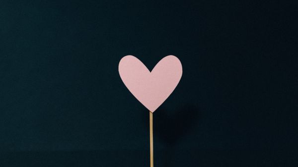heart, pink, valentine Wallpaper 1600x900