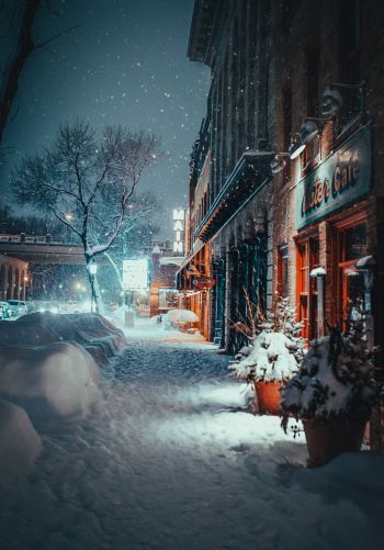 street, snowfall, winter Wallpaper 1668x2388