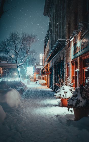 street, snowfall, winter Wallpaper 1752x2800