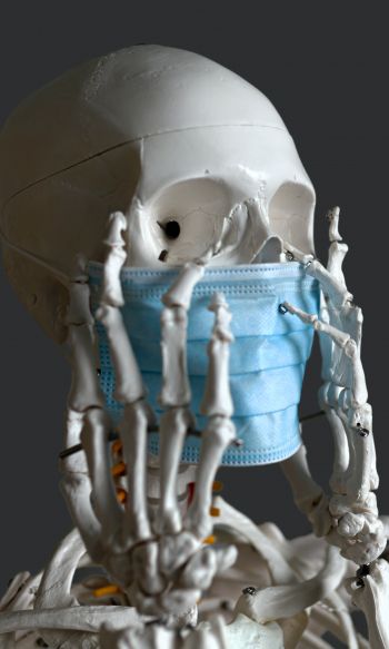 skeleton, mask, virus Wallpaper 1200x2000