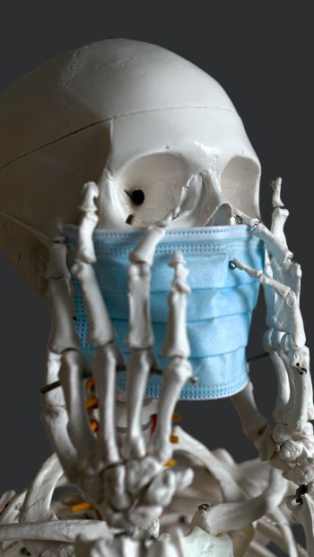 skeleton, mask, virus Wallpaper 640x1136