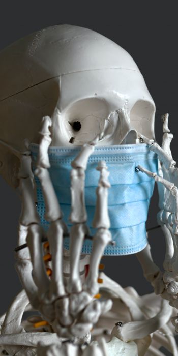 skeleton, mask, virus Wallpaper 720x1440