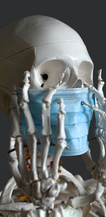 skeleton, mask, virus Wallpaper 1440x2960