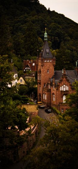 Heidelberg, Germany Wallpaper 1242x2688