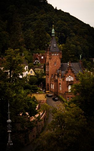 Heidelberg, Germany Wallpaper 1752x2800