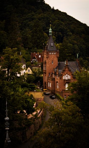 Heidelberg, Germany Wallpaper 1200x2000