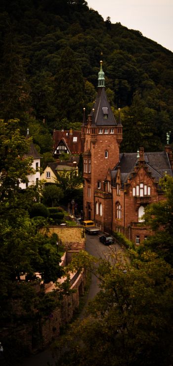 Heidelberg, Germany Wallpaper 720x1520