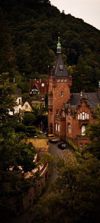 Heidelberg, Germany Wallpaper 1440x3200