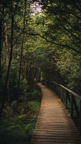 Bavaria, Germany Wallpaper 640x1136