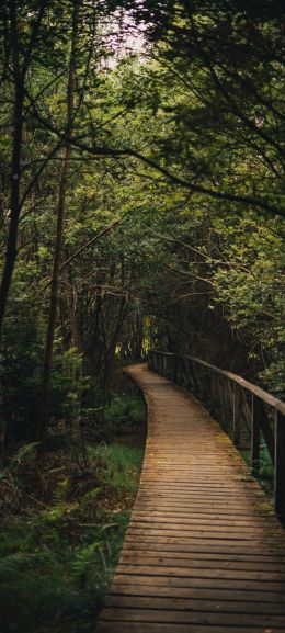 Bavaria, Germany Wallpaper 1080x2400