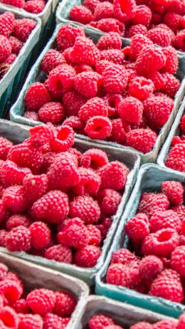 raspberries, berry Wallpaper 750x1334