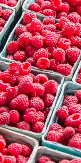 raspberries, berry Wallpaper 720x1440