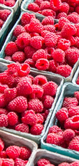 raspberries, berry Wallpaper 1440x3040