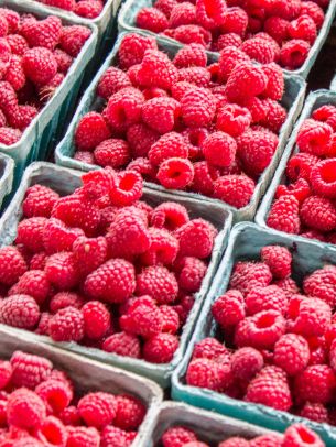 raspberries, berry Wallpaper 2048x2732