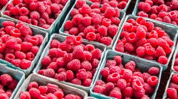 raspberries, berry Wallpaper 1280x720
