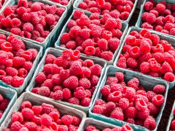 raspberries, berry Wallpaper 1024x768