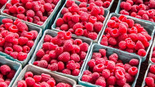 raspberries, berry Wallpaper 2560x1440