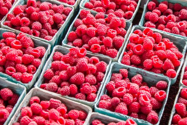 raspberries, berry Wallpaper 5184x3456