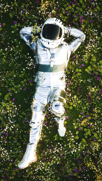 Обои 640x1136 космонавт, трава, отдых