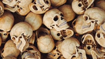 skull, bones, head Wallpaper 1366x768