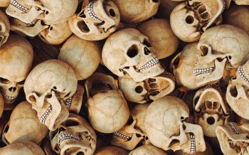 skull, bones, head Wallpaper 1920x1200