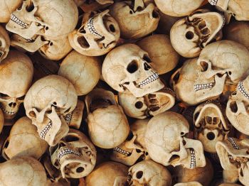 skull, bones, head Wallpaper 1024x768