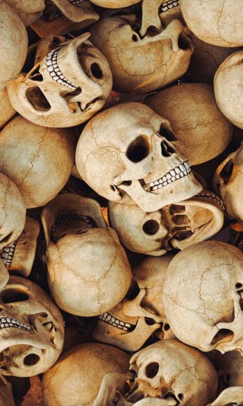 skull, bones, head Wallpaper 1200x2000