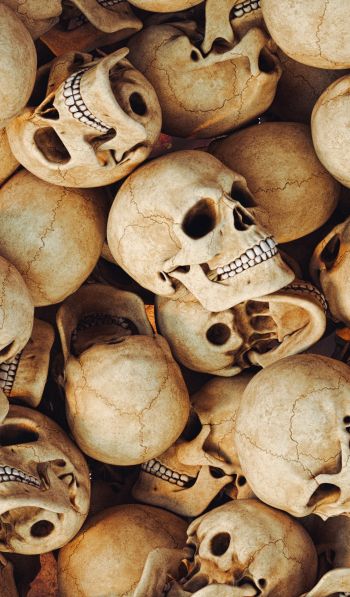 skull, bones, head Wallpaper 600x1024