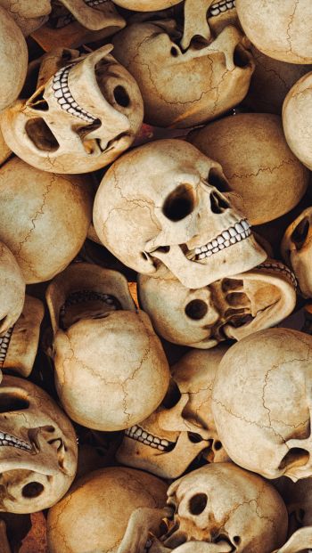 skull, bones, head Wallpaper 640x1136