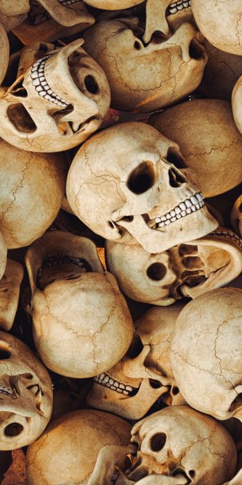 skull, bones, head Wallpaper 720x1440