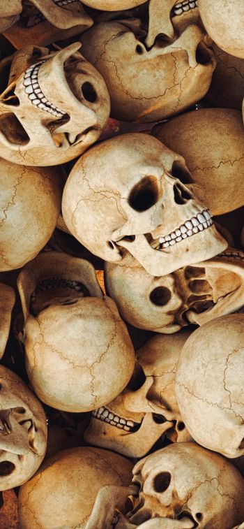 skull, bones, head Wallpaper 828x1792