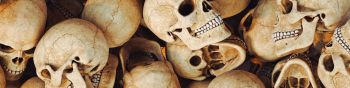 skull, bones, head Wallpaper 1590x400