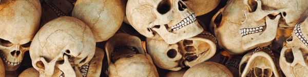 skull, bones, head Wallpaper 1590x400