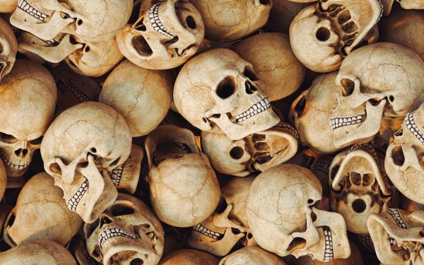 skull, bones, head Wallpaper 1920x1200