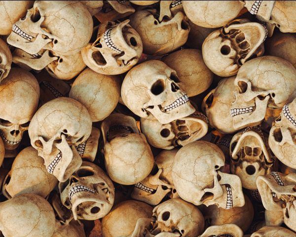 skull, bones, head Wallpaper 2500x2000