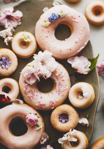 donut, sweetness Wallpaper 1668x2388