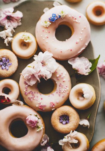 donut, sweetness Wallpaper 1640x2360
