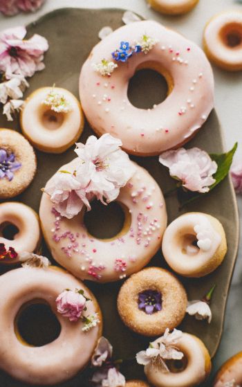 donut, sweetness Wallpaper 1752x2800