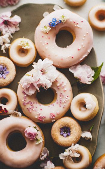 donut, sweetness Wallpaper 1600x2560
