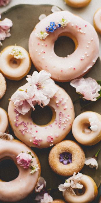 donut, sweetness Wallpaper 720x1440